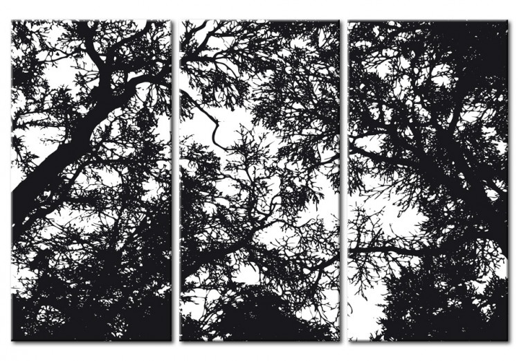 Canvas Print Look up - black and white tree branches with the sky in the background 56092