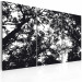Canvas Print Look up - black and white tree branches with the sky in the background 56092 additionalThumb 2