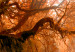 Canvas Autumn Waterfall 98192 additionalThumb 4