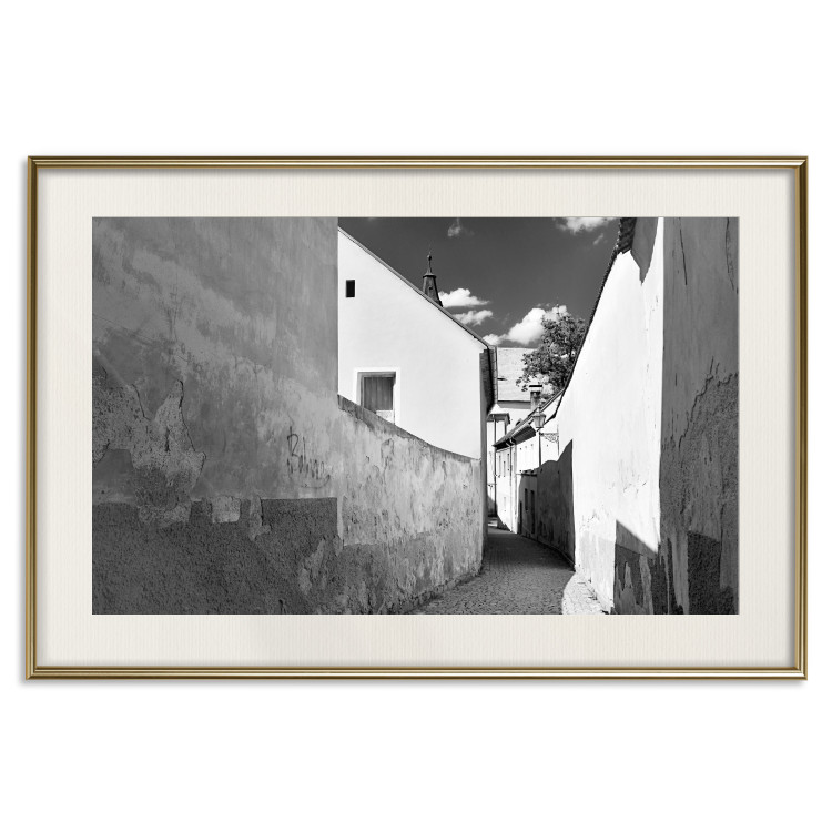 Poster Narrow alley - black and white urban street scene against architectural backdrop 115003 additionalImage 19