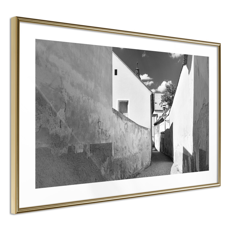 Poster Narrow alley - black and white urban street scene against architectural backdrop 115003 additionalImage 6