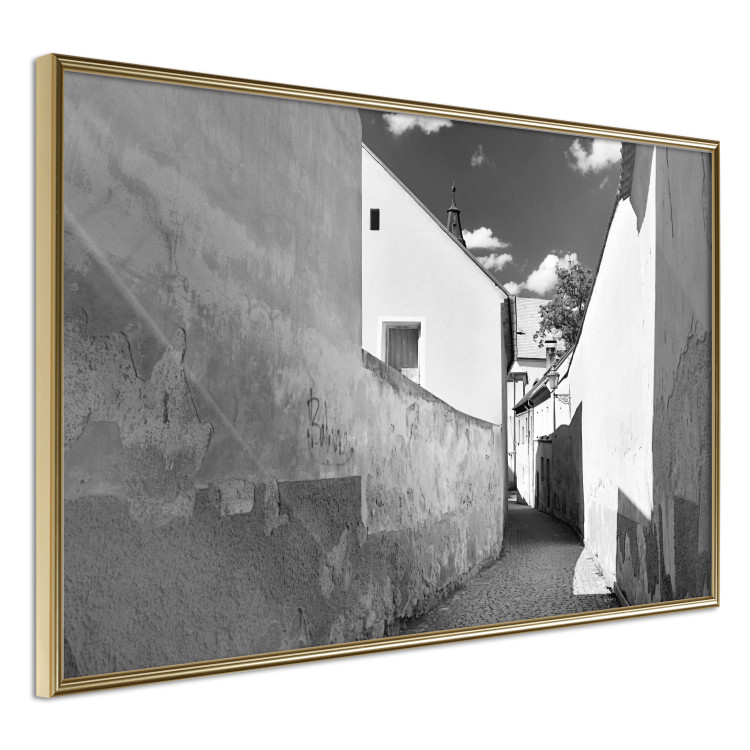 Poster Narrow alley - black and white urban street scene against architectural backdrop 115003 additionalImage 14