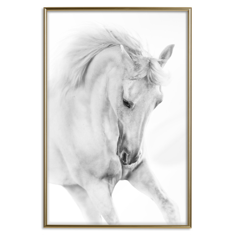 Poster White Horse - black and white sketched portrait of a majestic animal 116503 additionalImage 16
