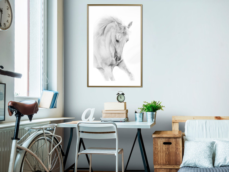Poster White Horse - black and white sketched portrait of a majestic animal 116503 additionalImage 15