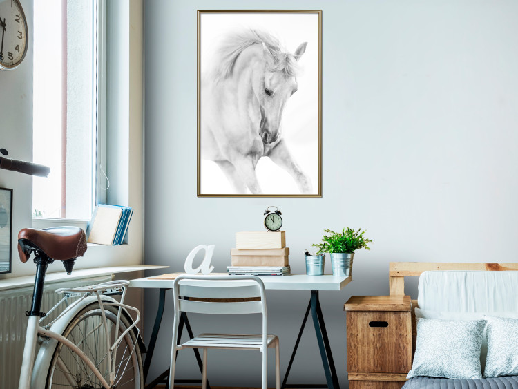 Poster White Horse - black and white sketched portrait of a majestic animal 116503 additionalImage 7