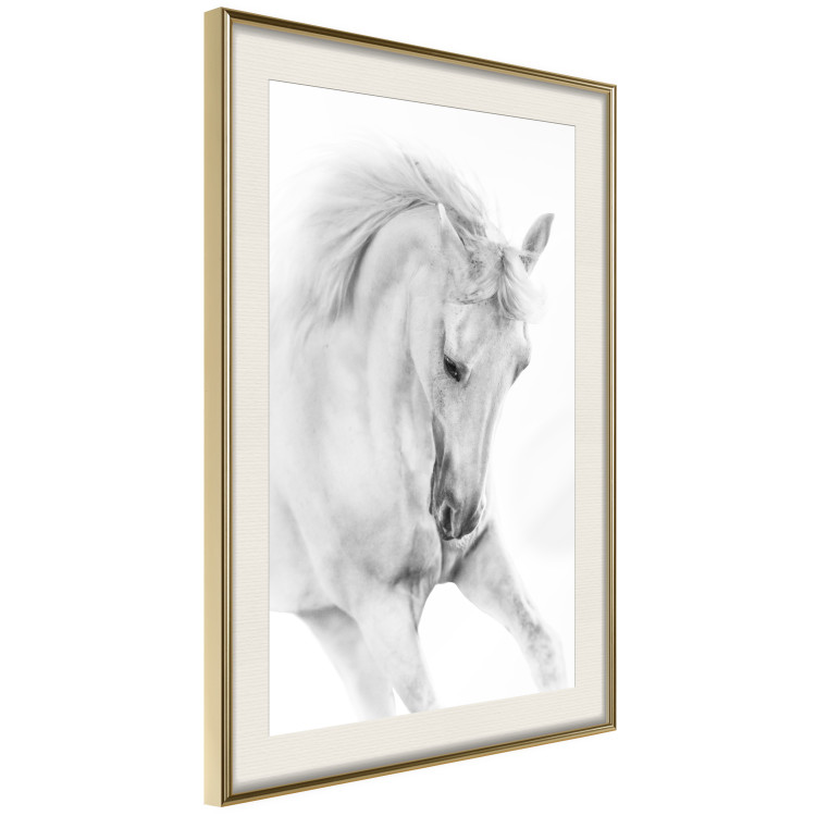 Poster White Horse - black and white sketched portrait of a majestic animal 116503 additionalImage 2