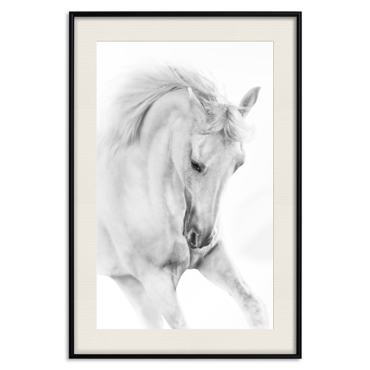 Poster White Horse - black and white sketched portrait of a majestic animal 116503 additionalImage 18