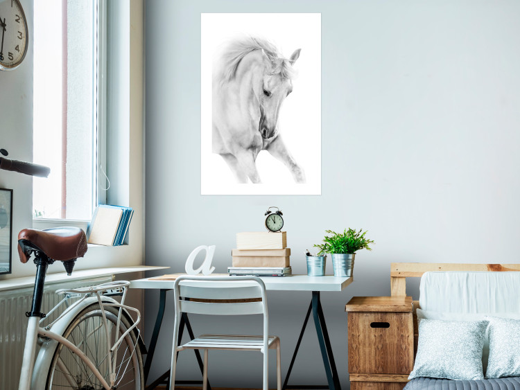 Poster White Horse - black and white sketched portrait of a majestic animal 116503 additionalImage 2