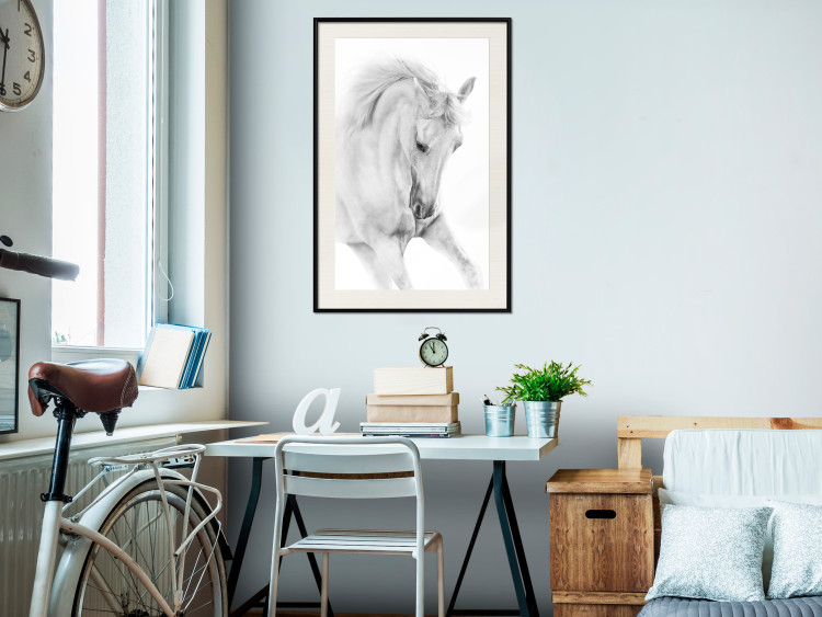 Poster White Horse - black and white sketched portrait of a majestic animal 116503 additionalImage 22