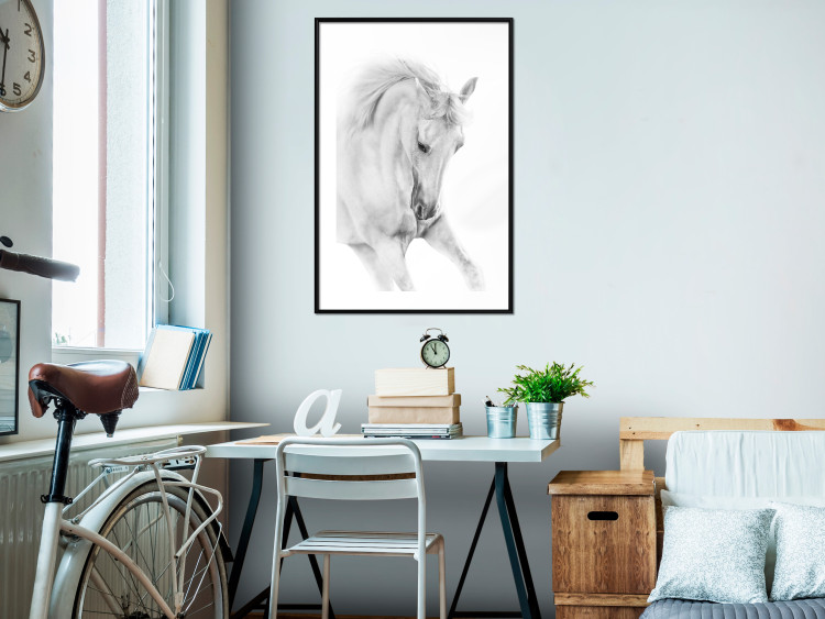 Poster White Horse - black and white sketched portrait of a majestic animal 116503 additionalImage 6