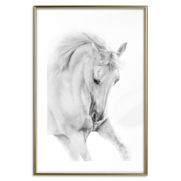 Poster White Horse - black and white sketched portrait of a majestic animal 116503 additionalImage 14