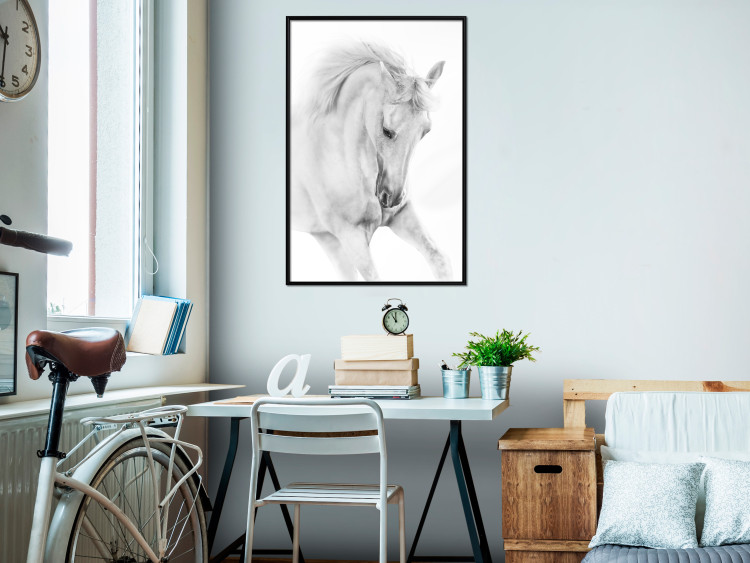 Poster White Horse - black and white sketched portrait of a majestic animal 116503 additionalImage 3