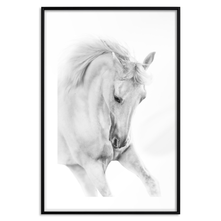 Poster White Horse - black and white sketched portrait of a majestic animal 116503 additionalImage 17