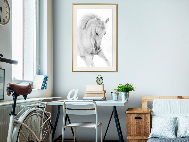 Poster White Horse - black and white sketched portrait of a majestic animal 116503 additionalImage 21