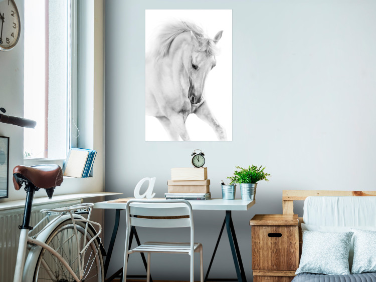 Poster White Horse - black and white sketched portrait of a majestic animal 116503 additionalImage 17