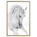 Poster White Horse - black and white sketched portrait of a majestic animal 116503 additionalThumb 20