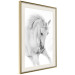 Poster White Horse - black and white sketched portrait of a majestic animal 116503 additionalThumb 2