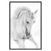 Poster White Horse - black and white sketched portrait of a majestic animal 116503 additionalThumb 24