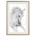 Poster White Horse - black and white sketched portrait of a majestic animal 116503 additionalThumb 19