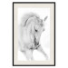 Poster White Horse - black and white sketched portrait of a majestic animal 116503 additionalThumb 18