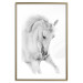 Poster White Horse - black and white sketched portrait of a majestic animal 116503 additionalThumb 16