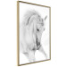 Poster White Horse - black and white sketched portrait of a majestic animal 116503 additionalThumb 12