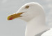 Canvas Watching Bird (1-part) - Seagull Against Sea and Cloudy Sky 117003 additionalThumb 5
