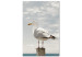 Canvas Watching Bird (1-part) - Seagull Against Sea and Cloudy Sky 117003