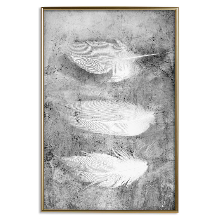 Poster Fleeting Mystery - three feathers on a concrete background in black and white texture 123203 additionalImage 15