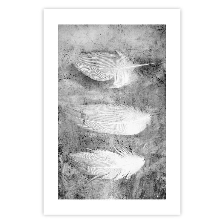 Poster Fleeting Mystery - three feathers on a concrete background in black and white texture 123203 additionalImage 21