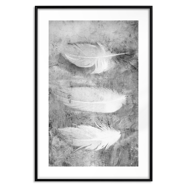 Poster Fleeting Mystery - three feathers on a concrete background in black and white texture 123203 additionalImage 14