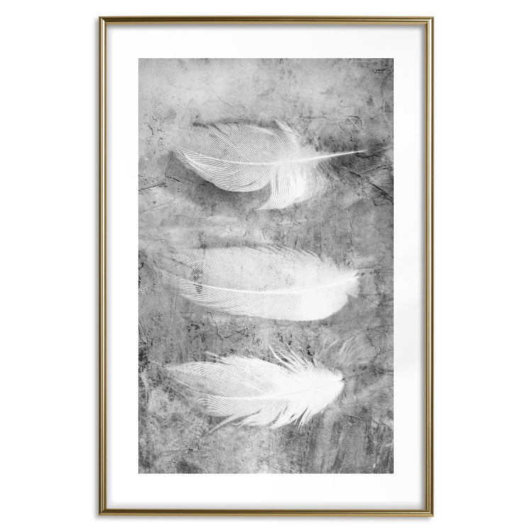 Poster Fleeting Mystery - three feathers on a concrete background in black and white texture 123203 additionalImage 18