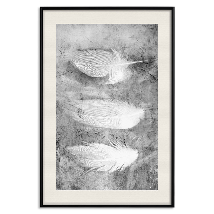 Poster Fleeting Mystery - three feathers on a concrete background in black and white texture 123203 additionalImage 19