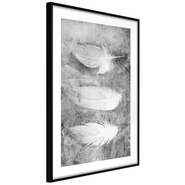 Poster Fleeting Mystery - three feathers on a concrete background in black and white texture 123203 additionalImage 13