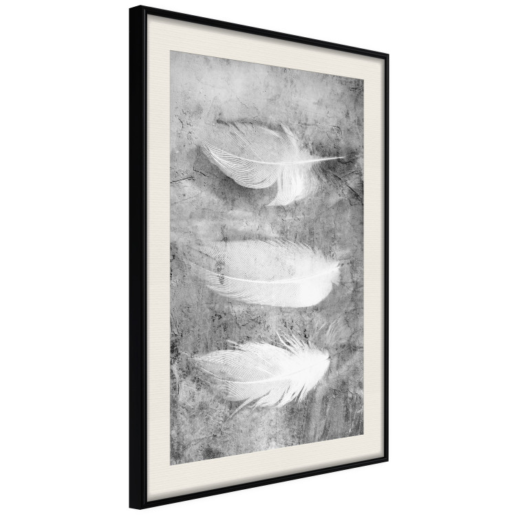 Poster Fleeting Mystery - three feathers on a concrete background in black and white texture 123203 additionalImage 3