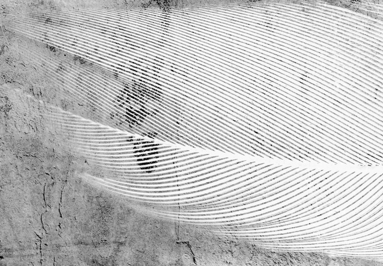Poster Fleeting Mystery - three feathers on a concrete background in black and white texture 123203 additionalImage 10
