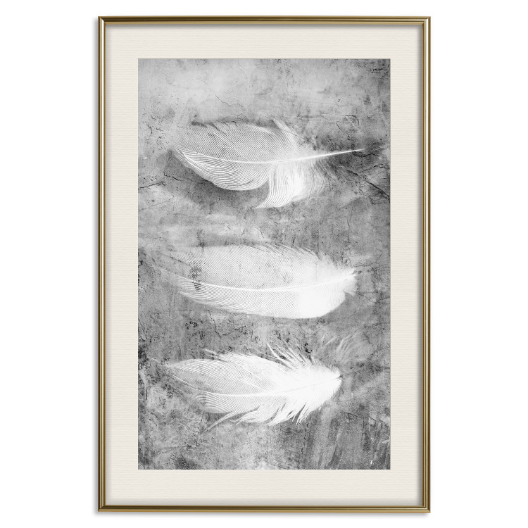 Poster Fleeting Mystery - three feathers on a concrete background in black and white texture 123203 additionalImage 27