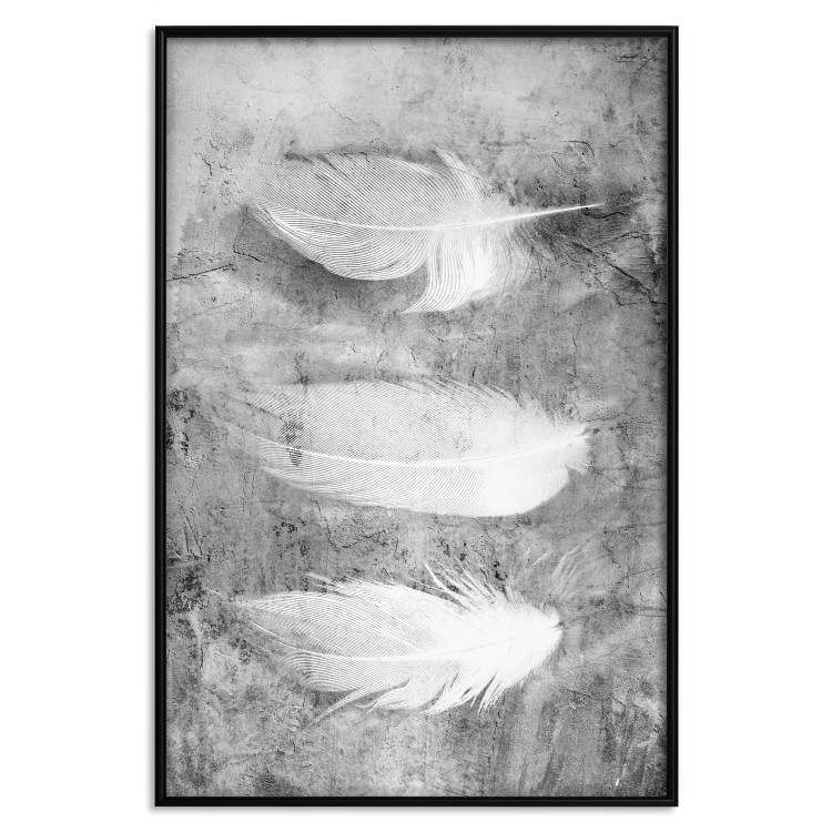 Poster Fleeting Mystery - three feathers on a concrete background in black and white texture 123203 additionalImage 20