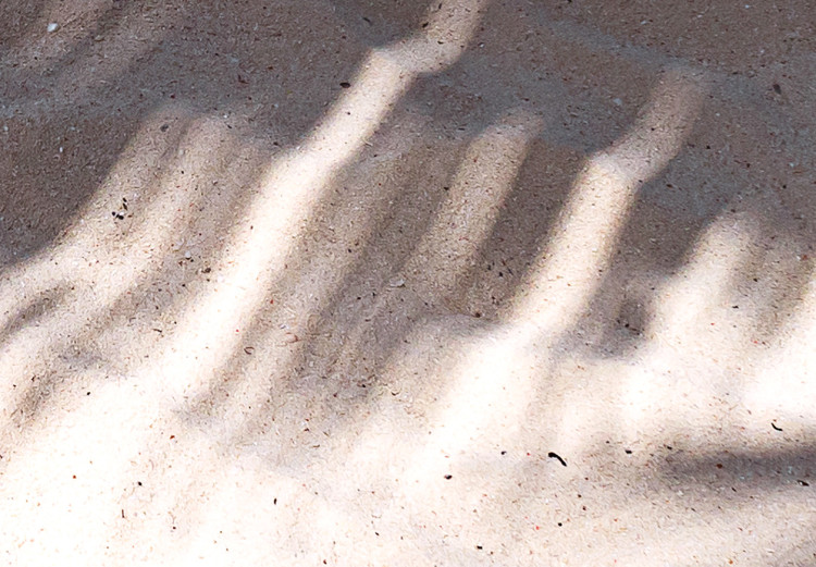 Poster Rest in the Shade - tropical composition of palm shadow on sand 135303 additionalImage 14