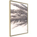 Poster Rest in the Shade - tropical composition of palm shadow on sand 135303 additionalThumb 17