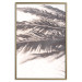 Poster Rest in the Shade - tropical composition of palm shadow on sand 135303 additionalThumb 26
