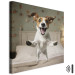 Canvas Print AI Dog Jack Russell Terrier - Joyful Animal Jumping From Bed Into Owner’s Arms - Square 150203 additionalThumb 8