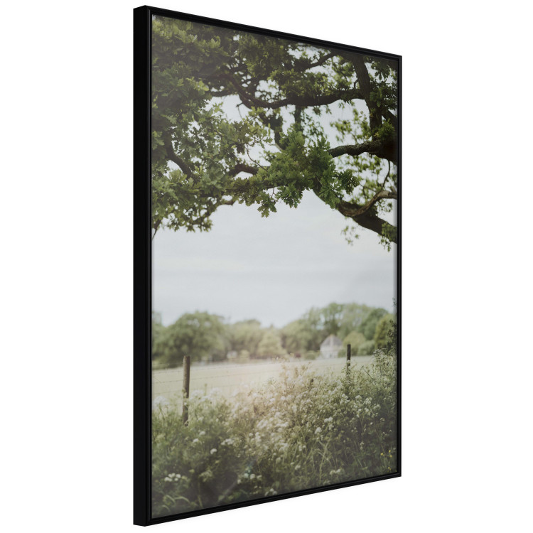 Wall Poster Sunny Day - Landscape of a Green Meadow Away From the City 150303 additionalImage 4