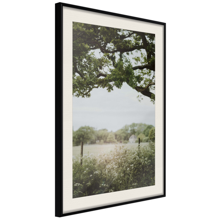 Wall Poster Sunny Day - Landscape of a Green Meadow Away From the City 150303 additionalImage 11