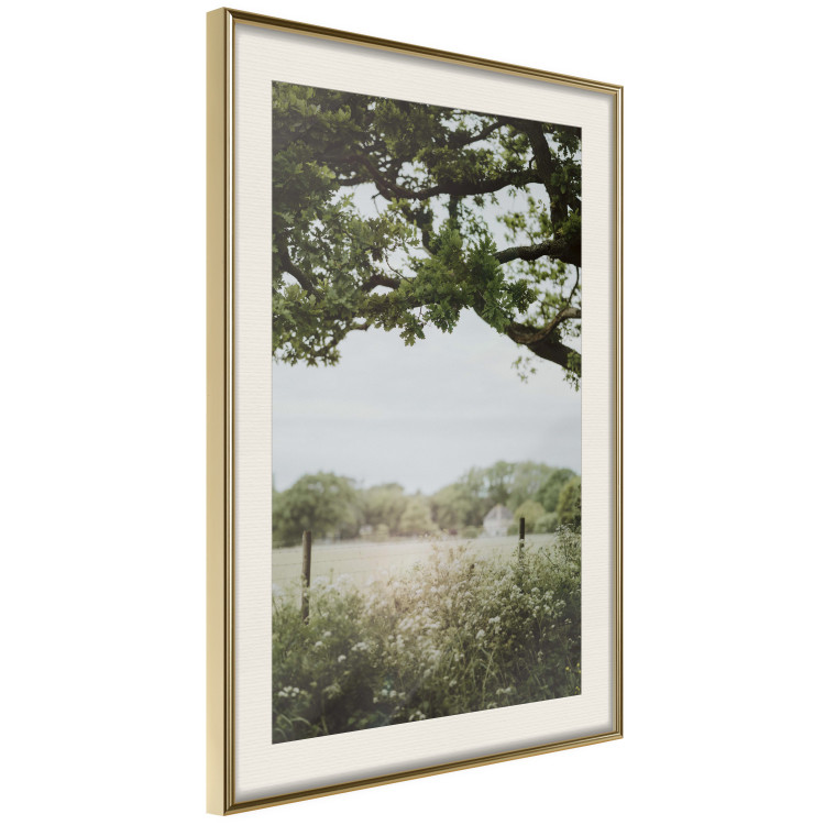 Wall Poster Sunny Day - Landscape of a Green Meadow Away From the City 150303 additionalImage 9