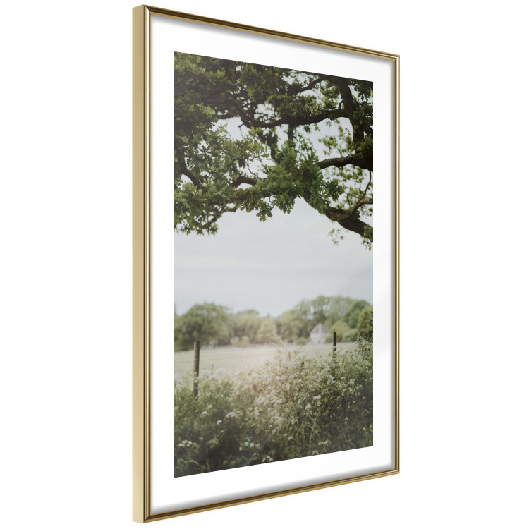 Wall Poster Sunny Day - Landscape of a Green Meadow Away From the City 150303 additionalImage 8