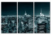 Canvas NYC by night 50603