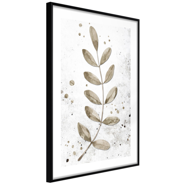 Poster Single Branch - delicate autumn leaves on a grayscale background 116413 additionalImage 2