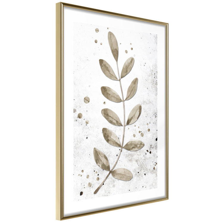 Poster Single Branch - delicate autumn leaves on a grayscale background 116413 additionalImage 5