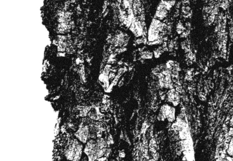 Wall Poster Tree Bark - black and white vertical composition on a solid white background 116613 additionalImage 9